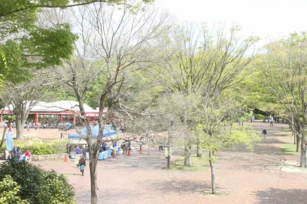 千葉動物公園
