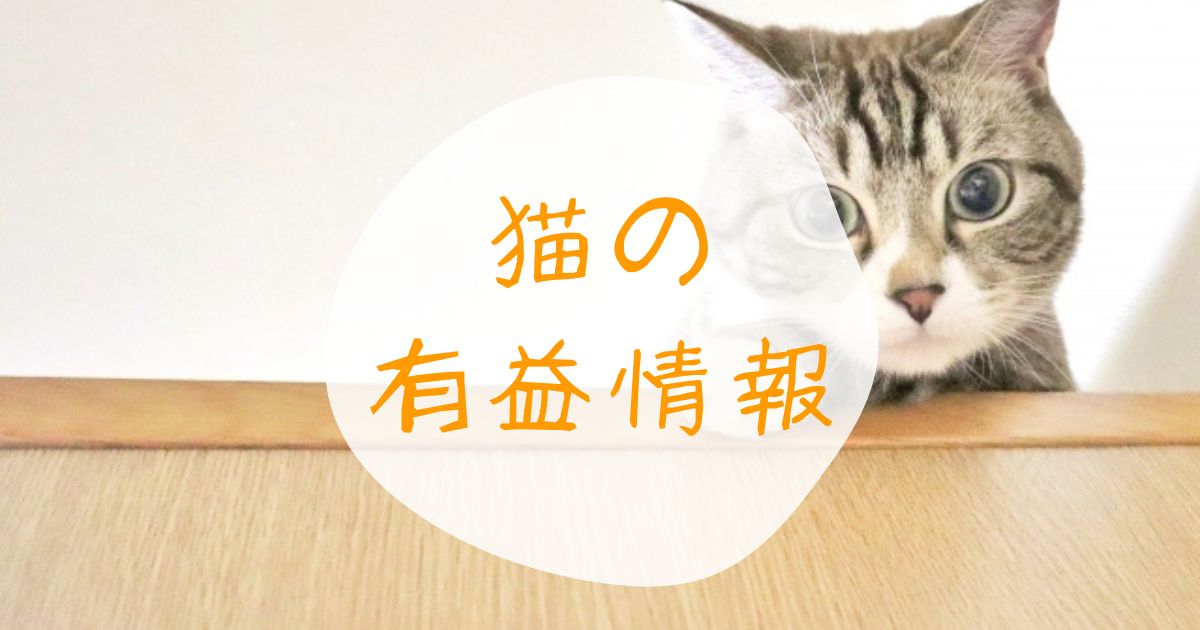 猫の有益情報