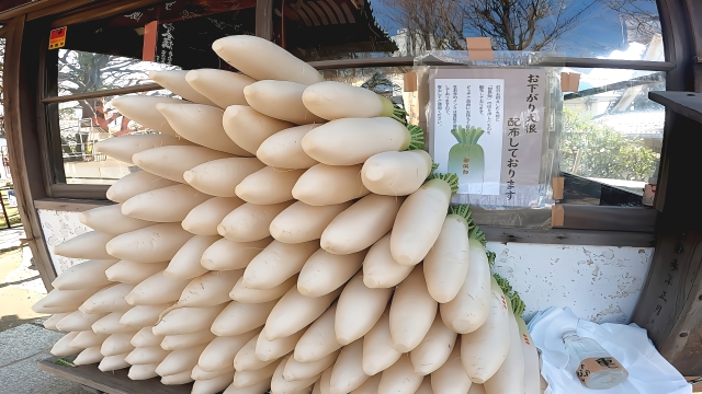 お下がり大根