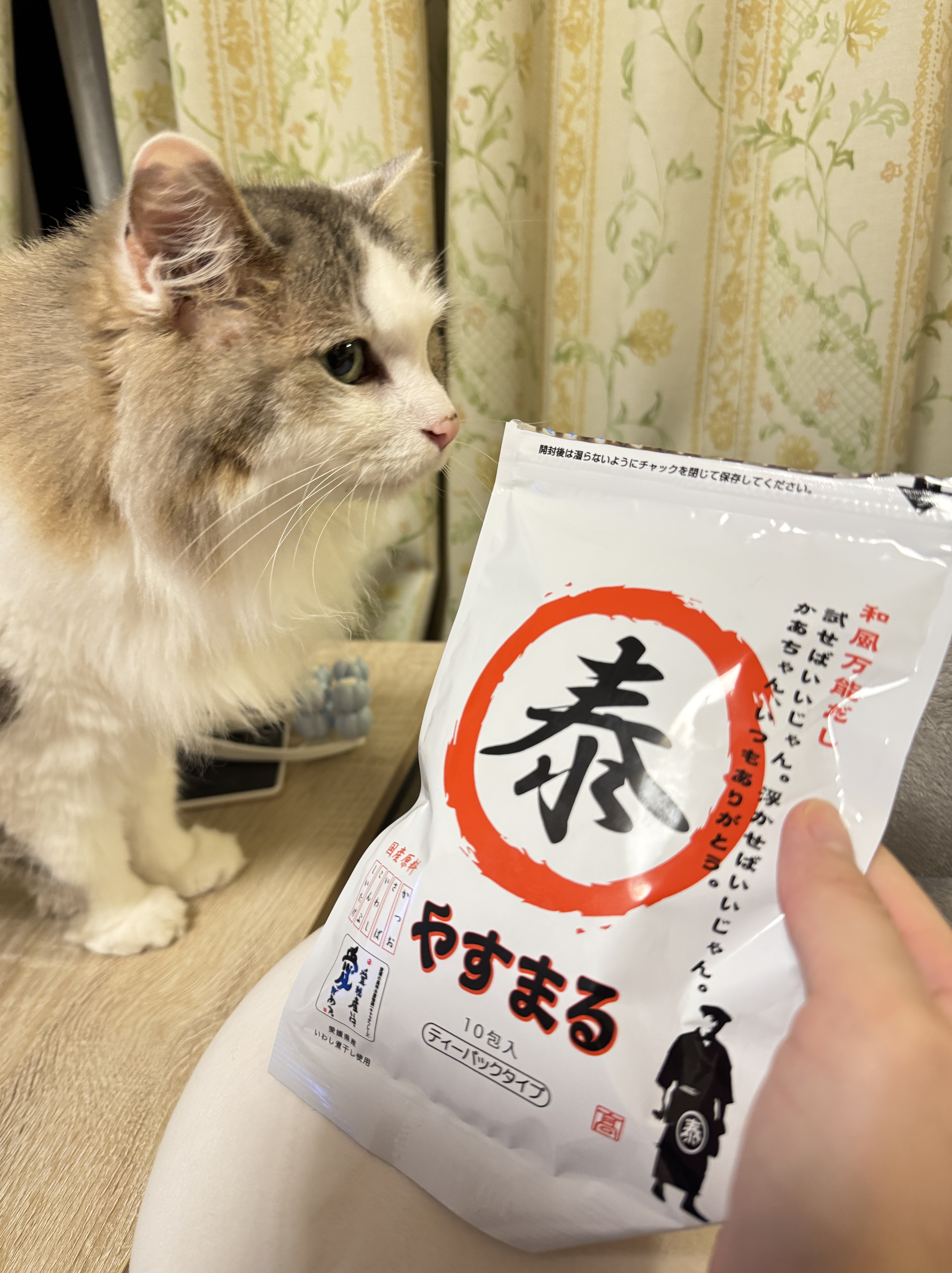 やすまるだし